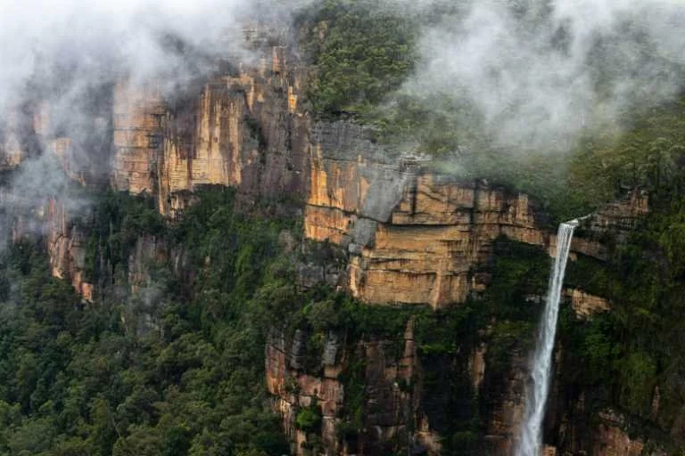 Use purchase code #108 at checkout to identify your order.