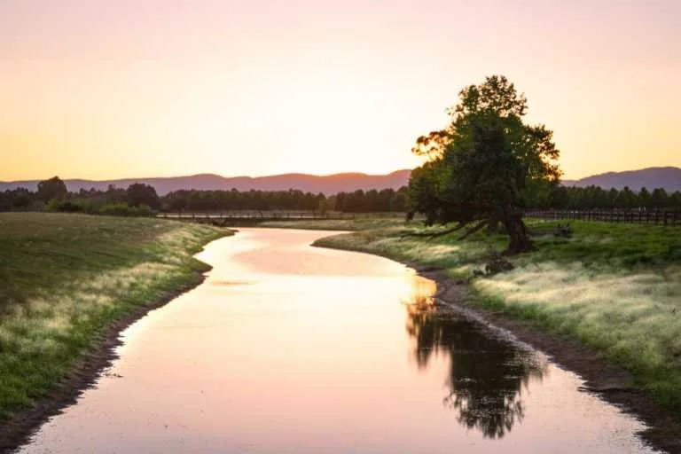 Use purchase code #B088 at checkout to identify your order