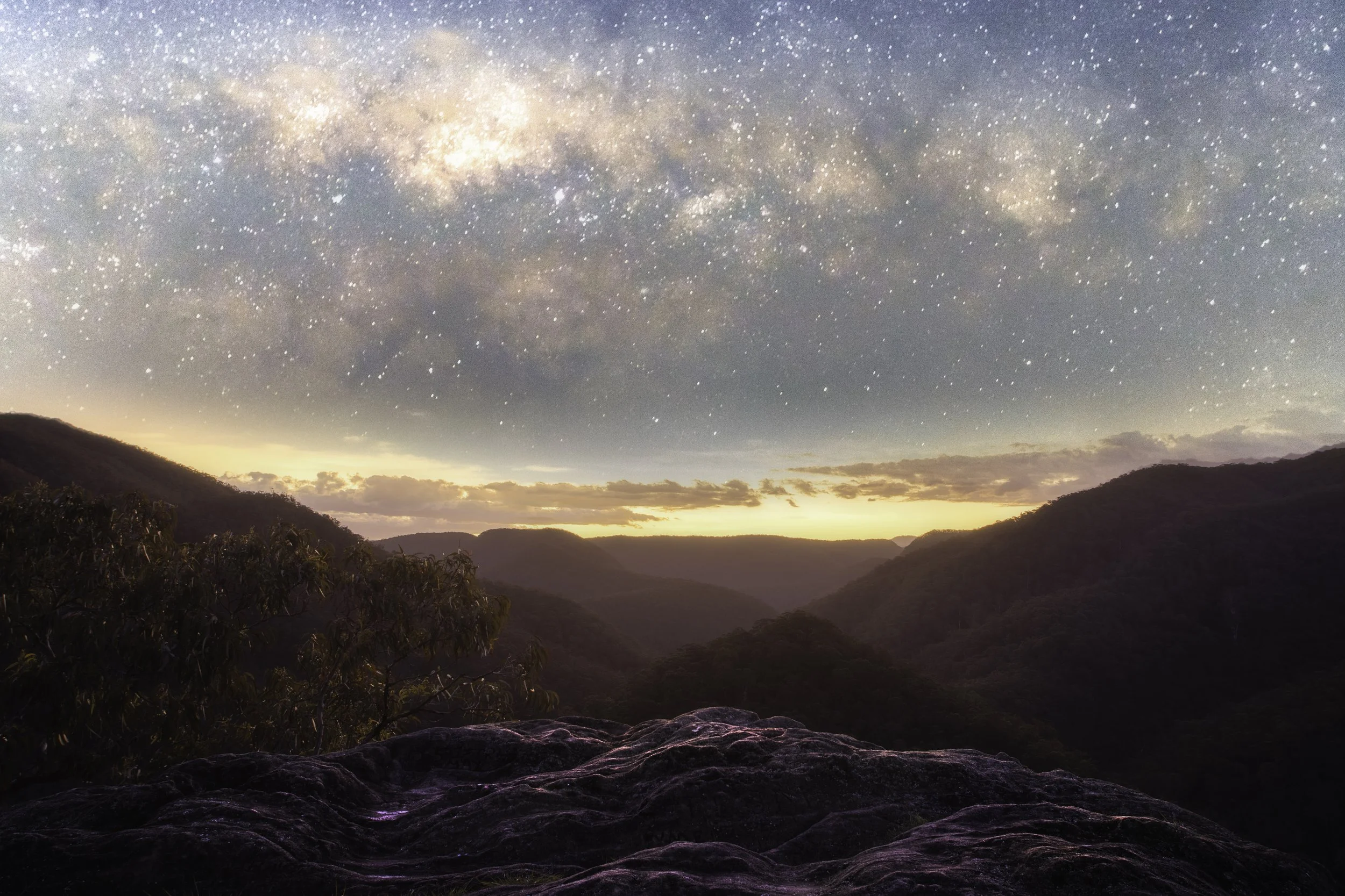 Use purchase code #A008 at checkout to identify your order