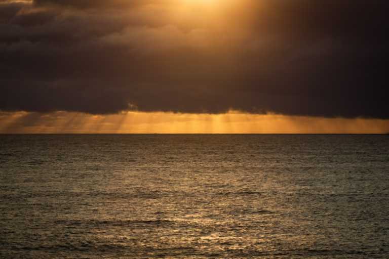 Use purchase code #B106 at checkout to identify your order