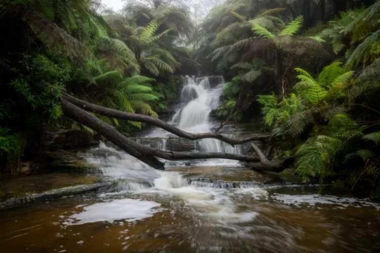 Use purchase code #046 at checkout to identify your order.