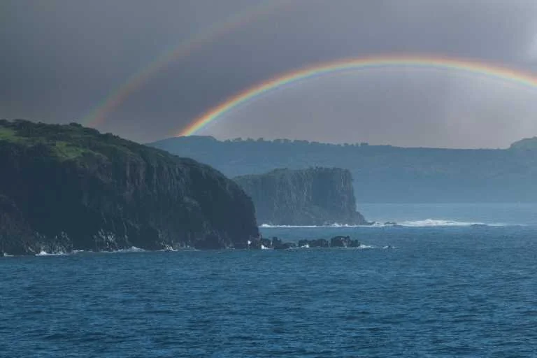 Use purchase code #B114 at checkout to identify your order