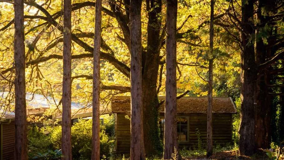 Use purchase code #E014 at checkout to identify your order