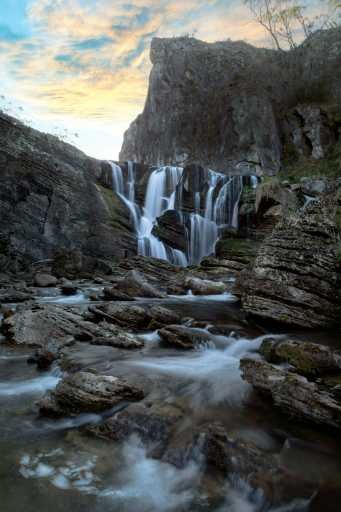 Use purchase code #081 at checkout to identify your order.