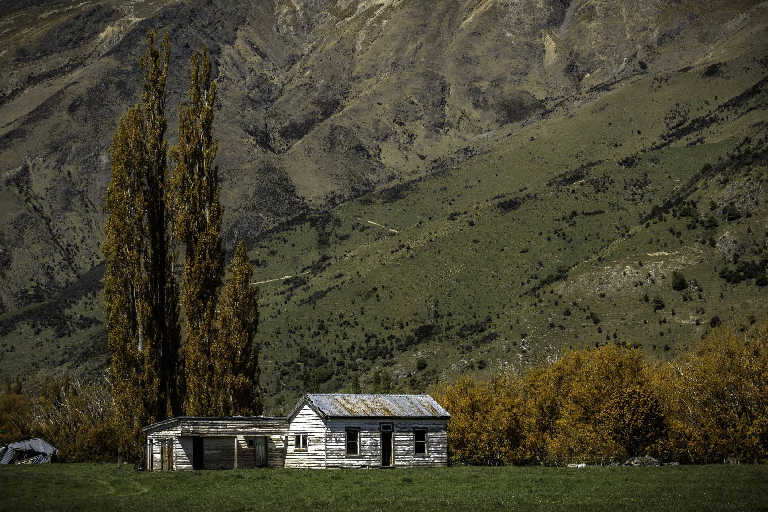 Use purchase code #D040 at checkout to identify your order