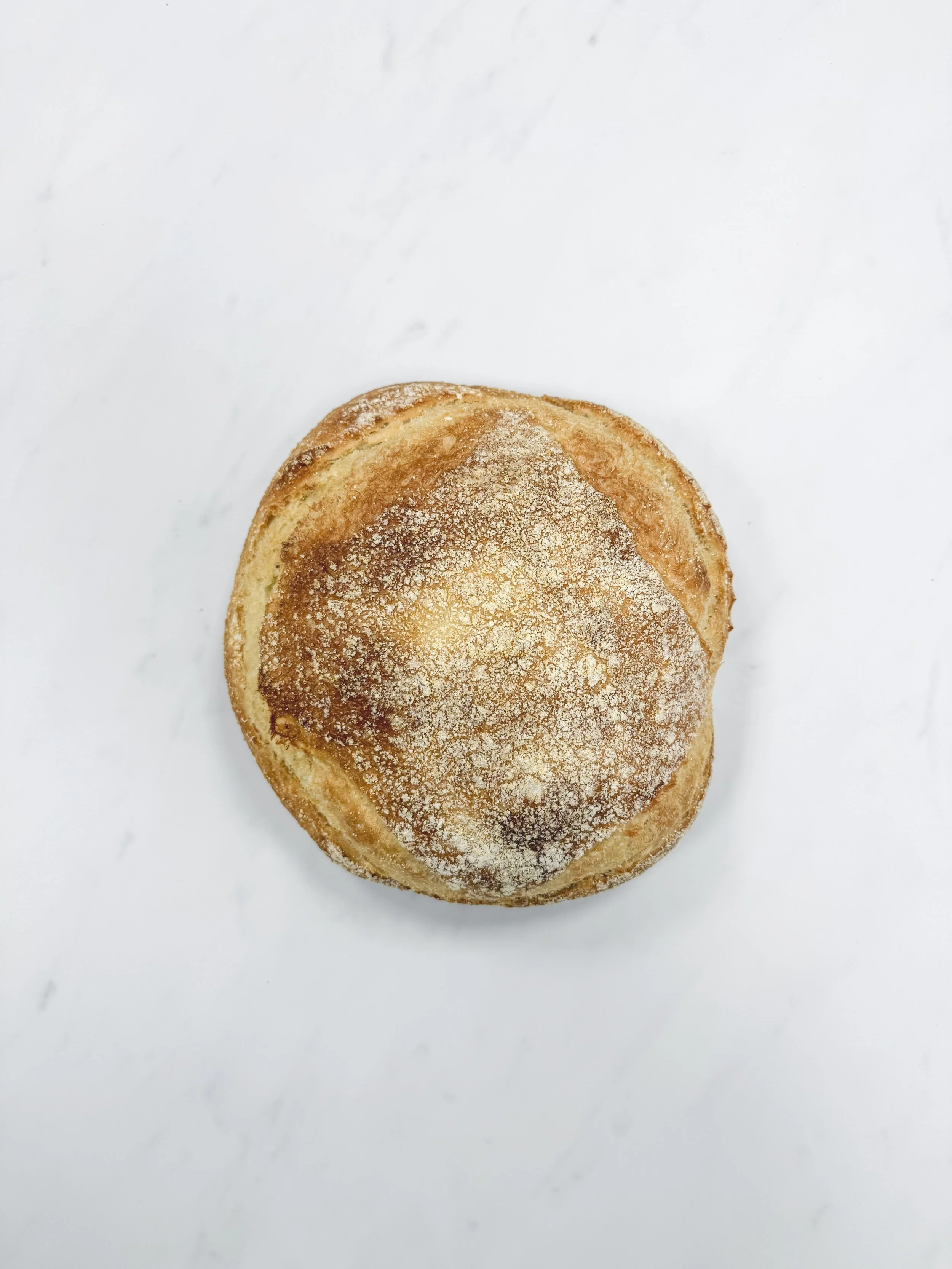 Portuguese Boule 18 oz