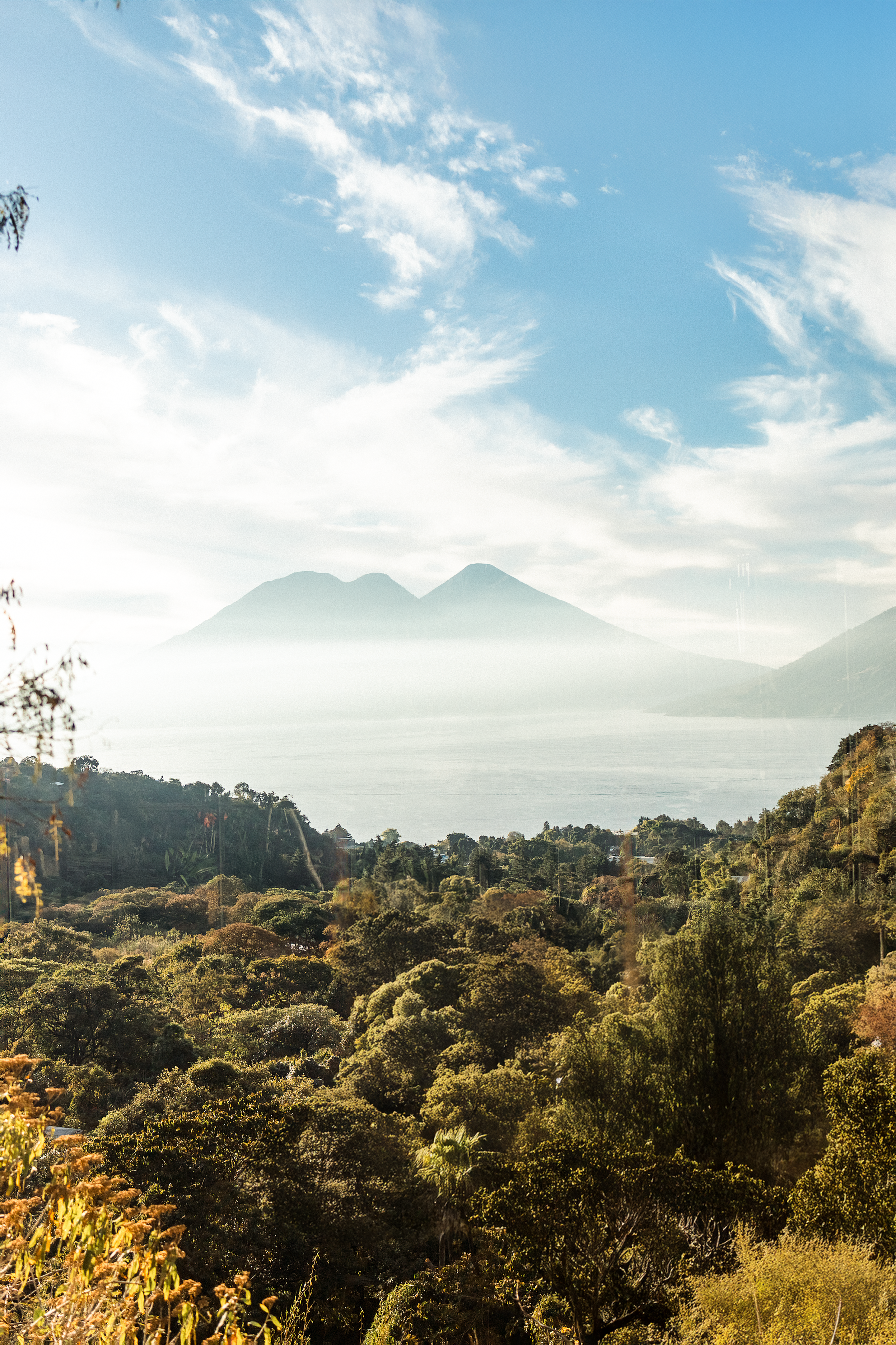 How to Host Your First Retreat in the Central American Forest