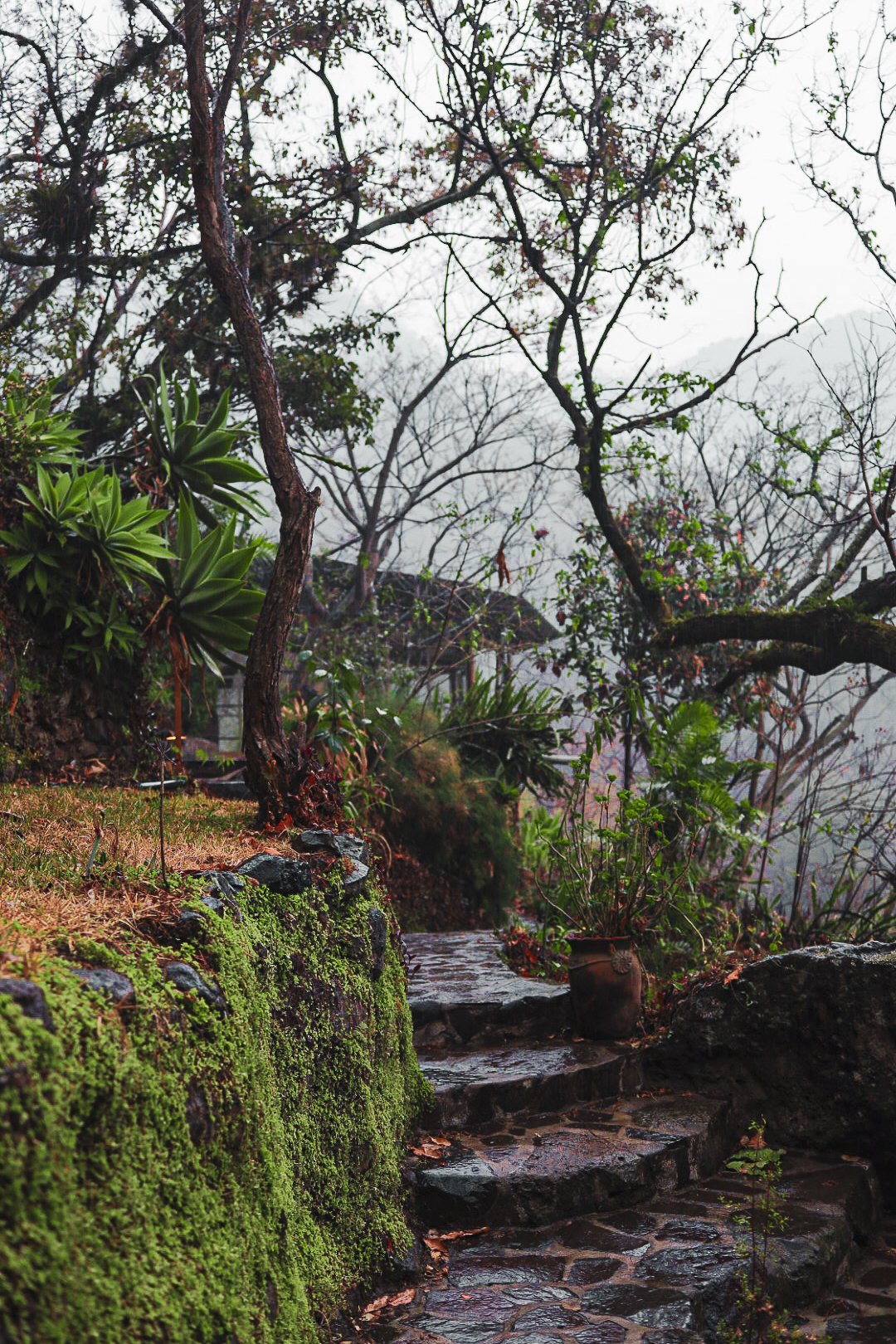 Dry Season vs Rainy Season in Guatemala: When Is the Best Time to Host a Retreat?