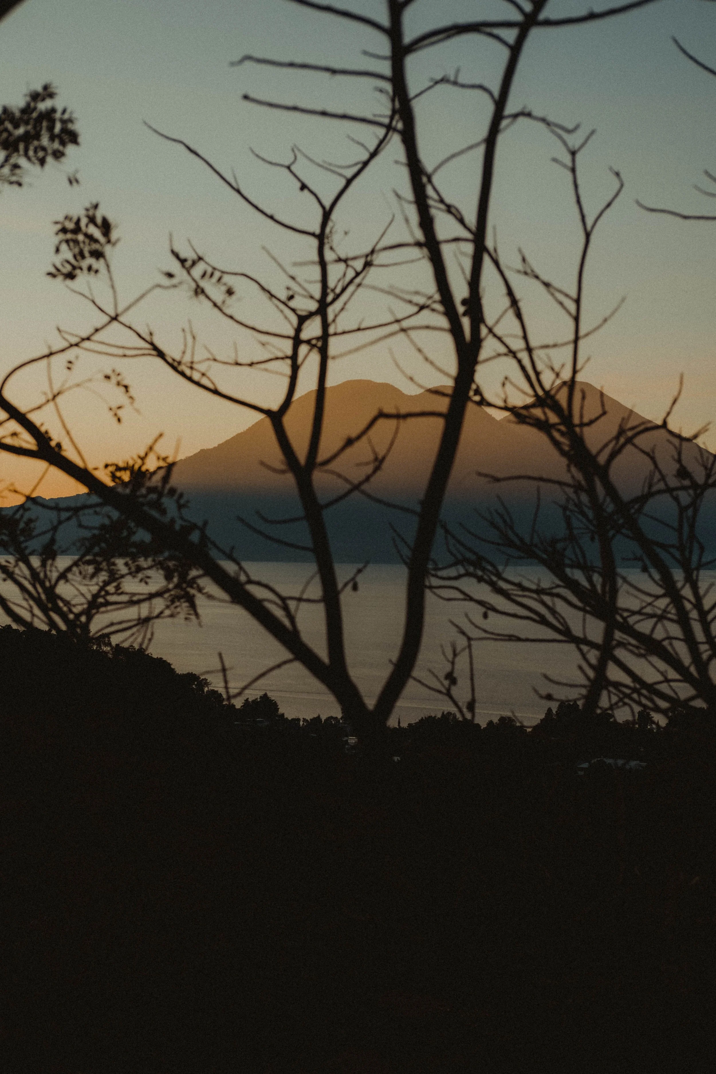 Why Nature Helps Us Slow Down: The Science Behind Forest Retreats