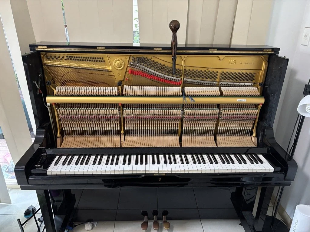 Piano tuner near me in Campbelltown tuning Yamaha upright piano