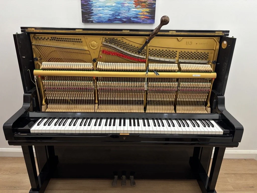 Piano Tuning Hills District