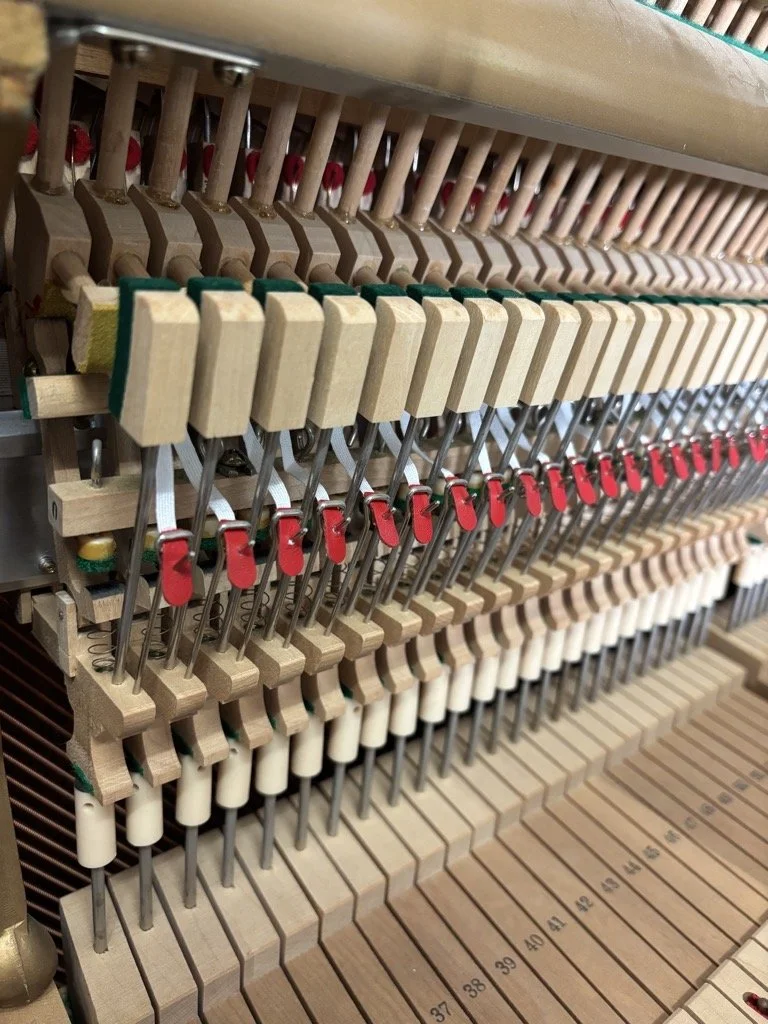 piano tuner camden repairing upright piano