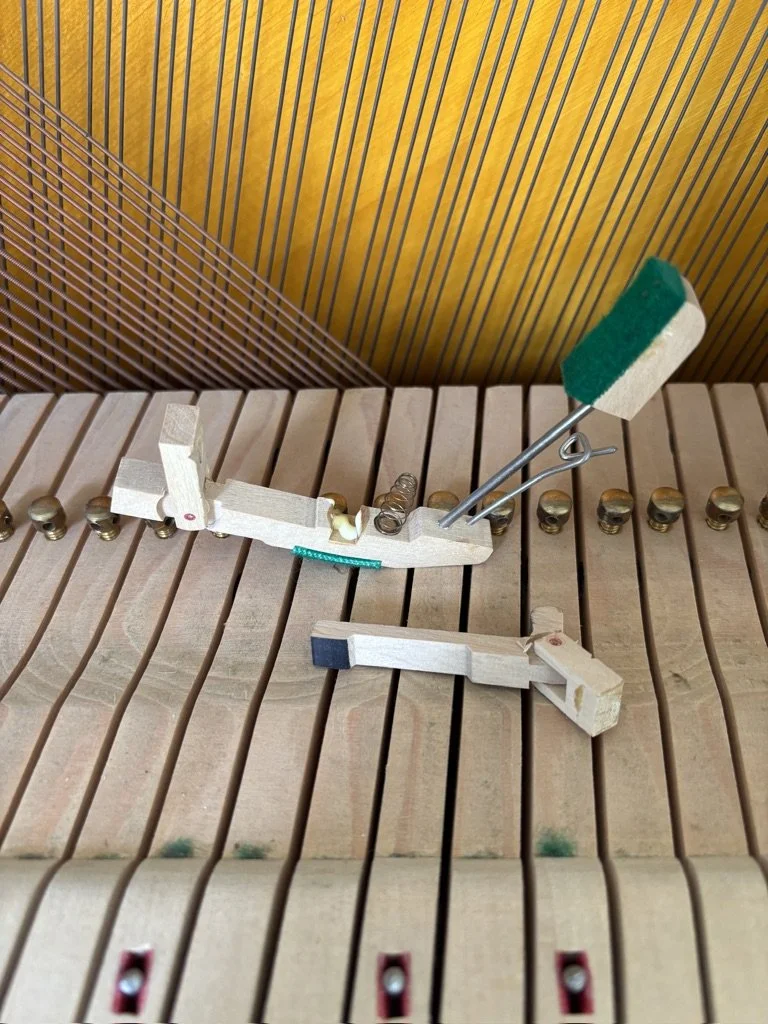 piano technician camden near sydney repairing petrof upright piano