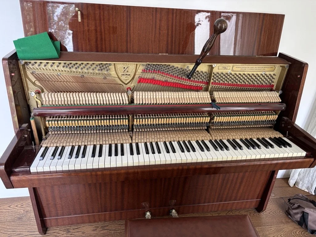 piano tuner camden tuning petrol piano in sydney