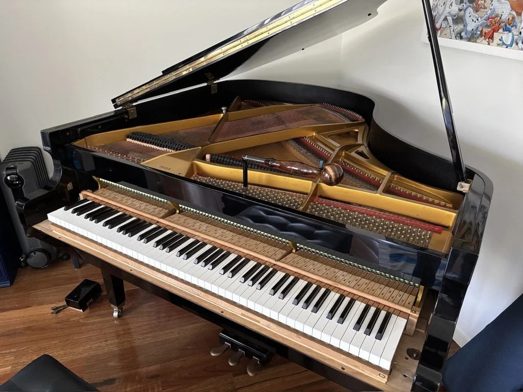 piano tuner near randwick in sydney tuning grand piano