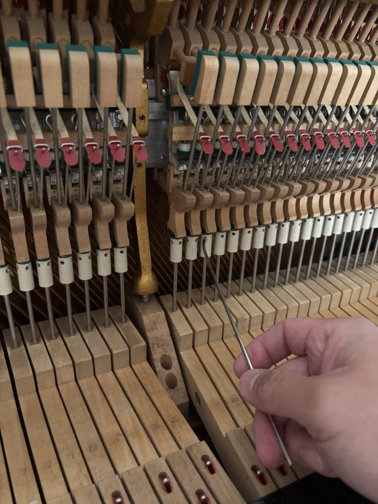 piano technician near blacktown in sydney regulating yamaha upright piano