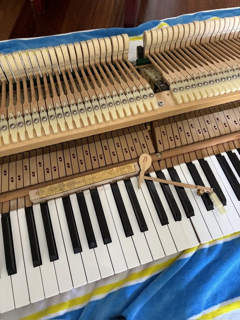 piano tuner near randwick repairing piano hammer in sydney