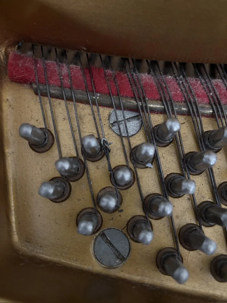 piano tuner near randwick repairing broken piano string in sydney