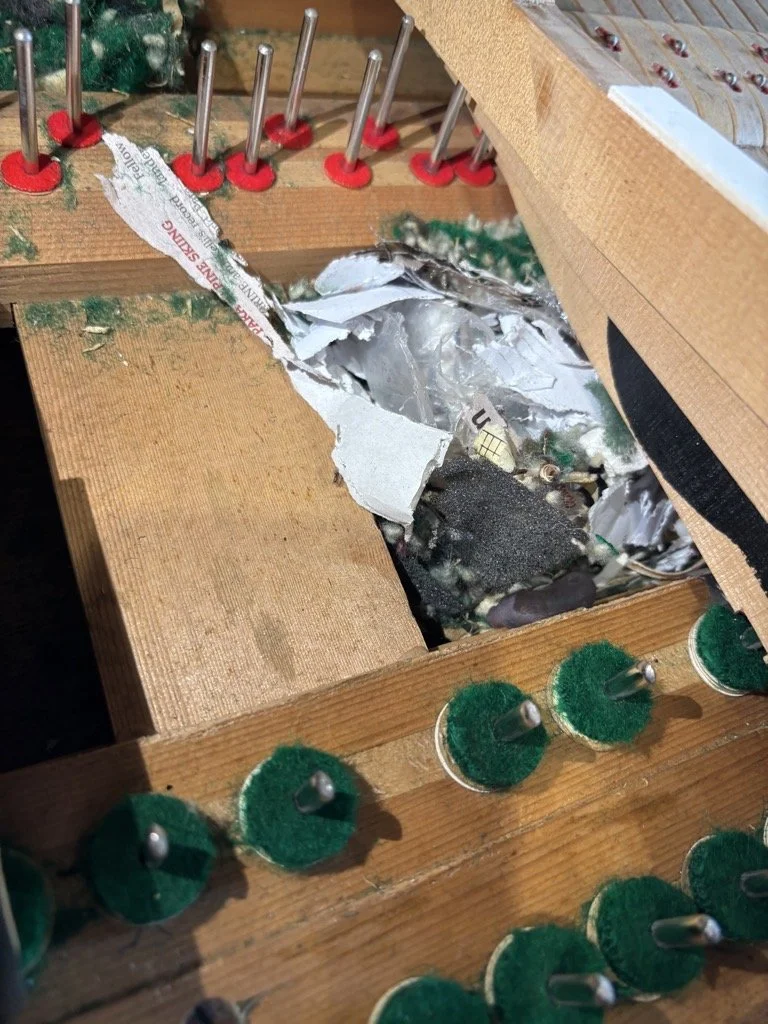 piano tuner near picton cleaning upright piano