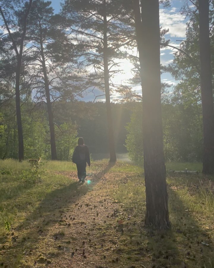 ⋆˚。✴︎⋆ cute activities to regulate one’s nervous system as the world shifts ⋆✴︎˚。⋆
• walk barefoot in earth
• connect to the mycelium
• immerse the self in nature
• deeper breaths 🤝🏽 longer hugs
• less screen ti