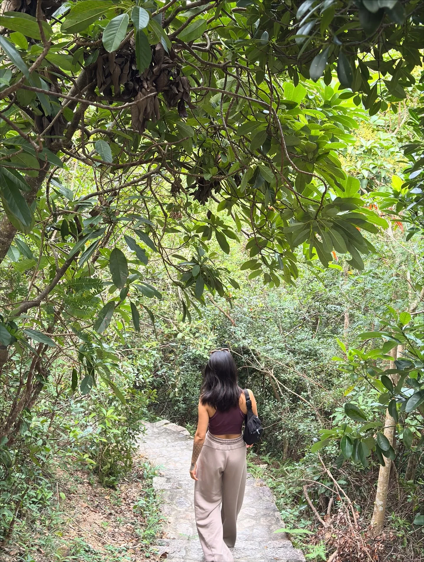 🐇 micro-update :: with love from hong kong ::

slowly adjusting to the rhythm of this jungle city. eating delicious + equally nourishing food.. daily (!), reconnecting to the mountains, trees and waters here. it&rsquo;s been a while. 

quality time 