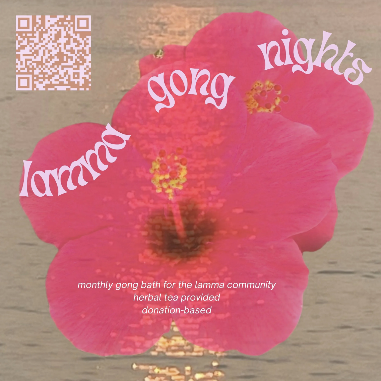 🌺 LGN003 🌺 