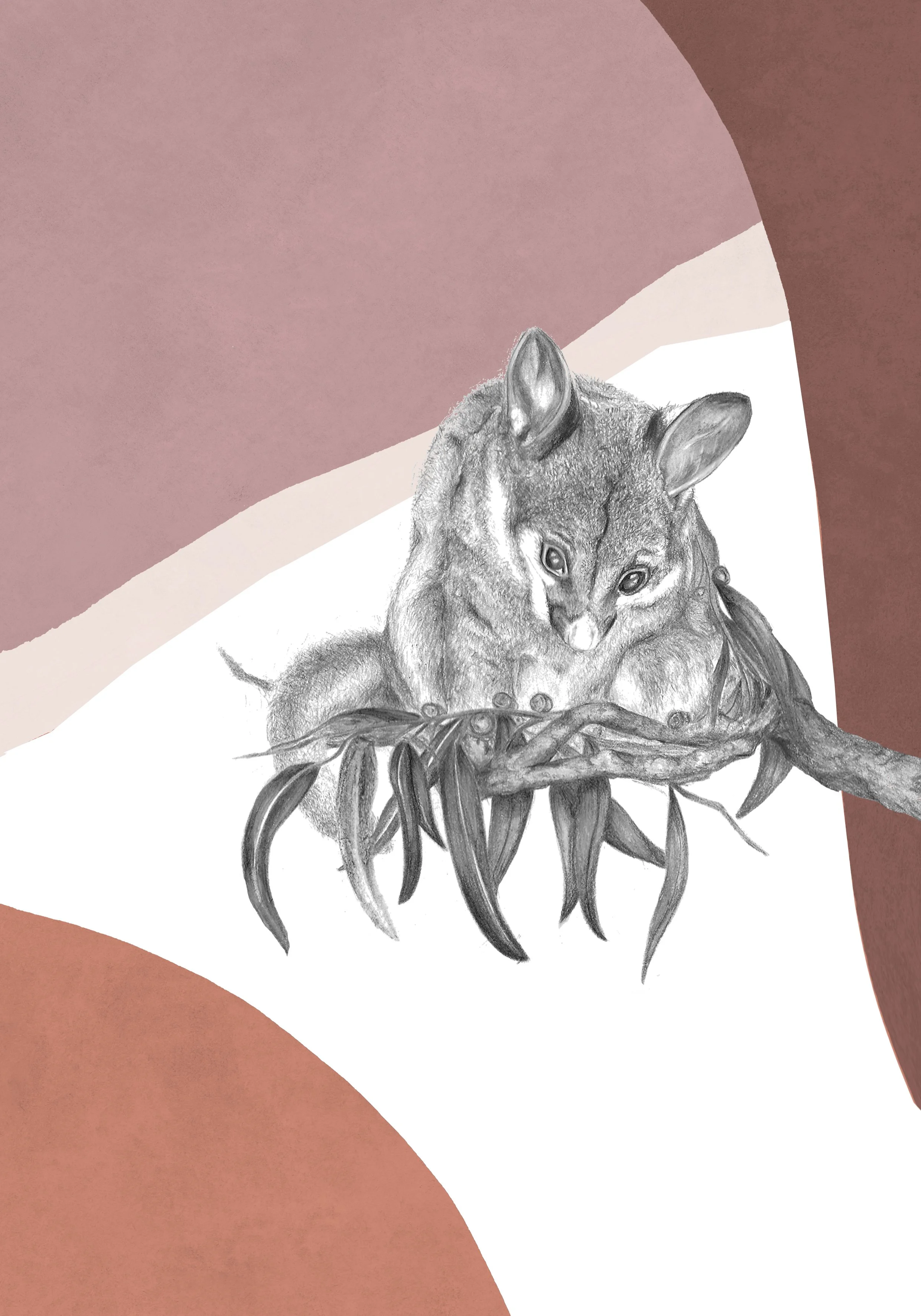 21x30 Possum abstract.jpg