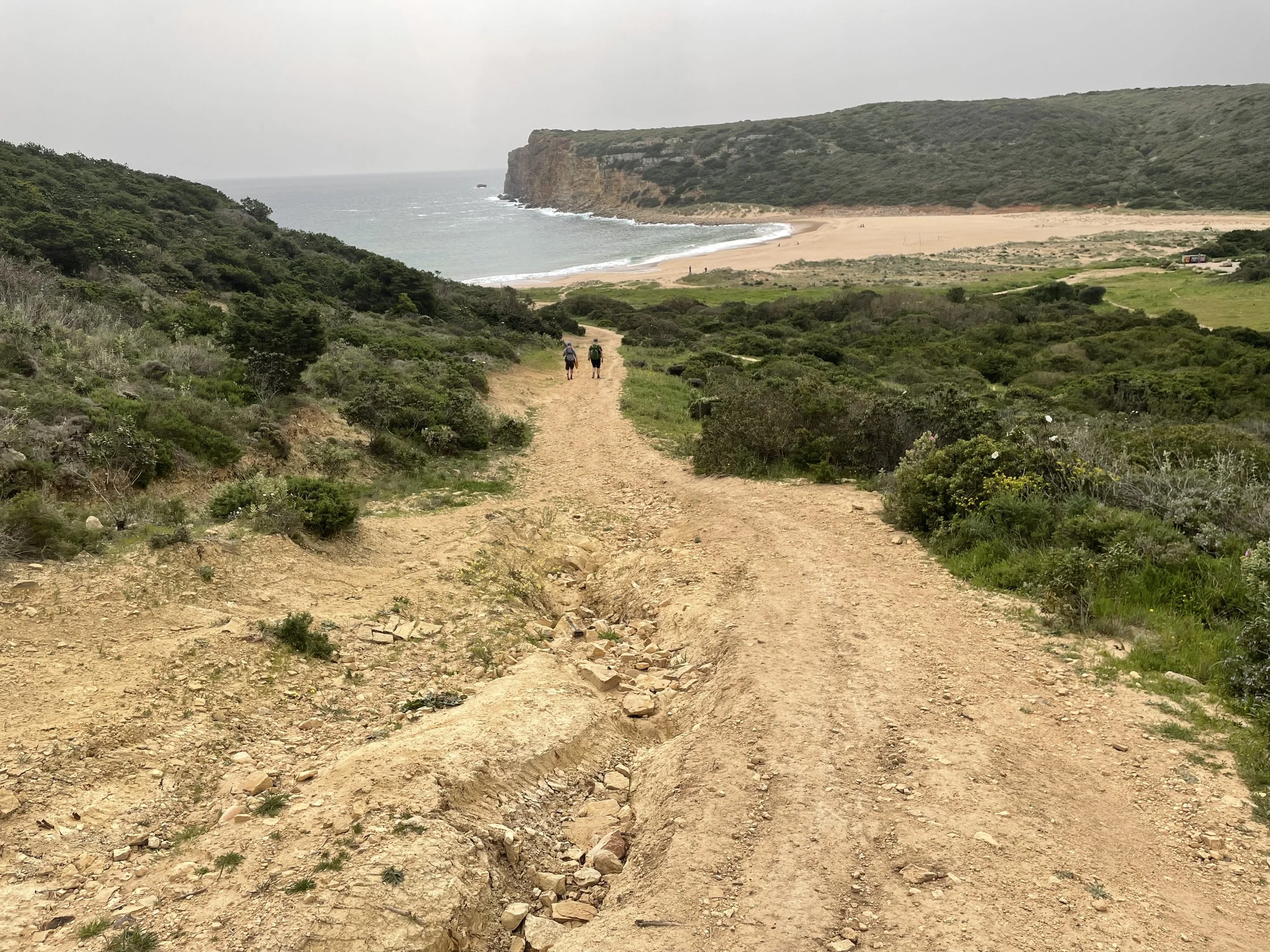 2024-03-24 13.23.57.jpg