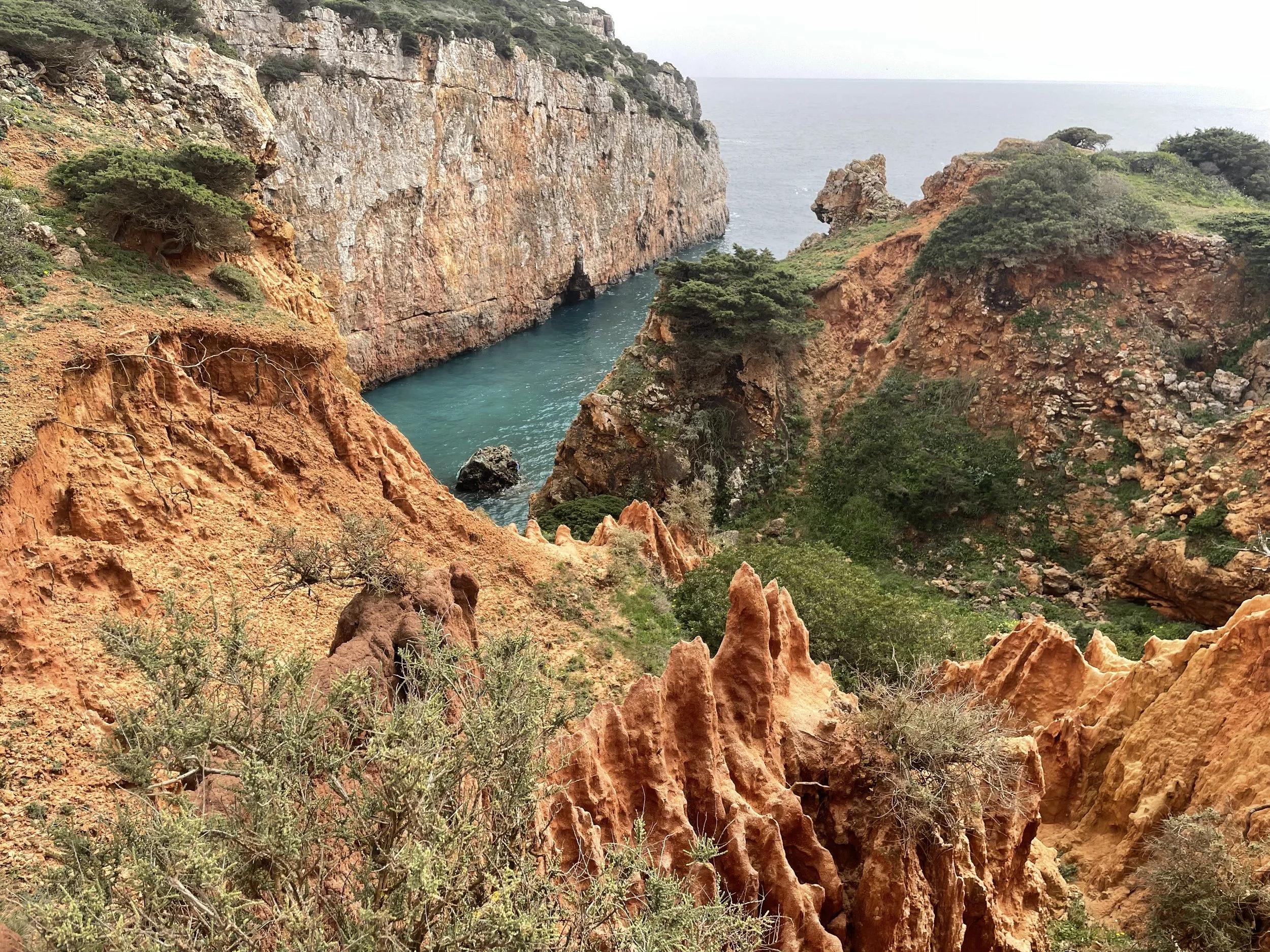 2024-03-24 14.46.00.jpg