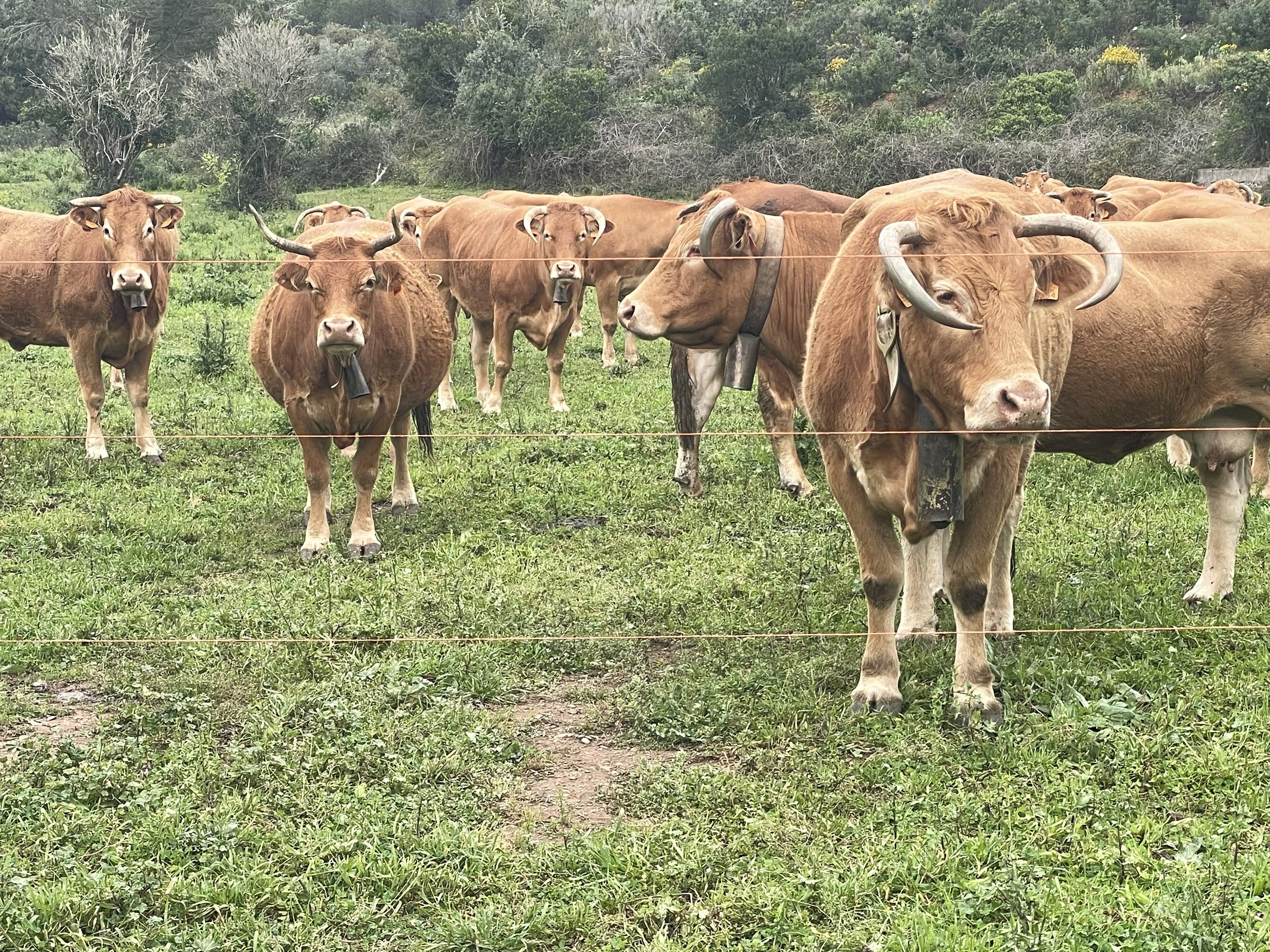 2024-03-26 14.37.51.jpg