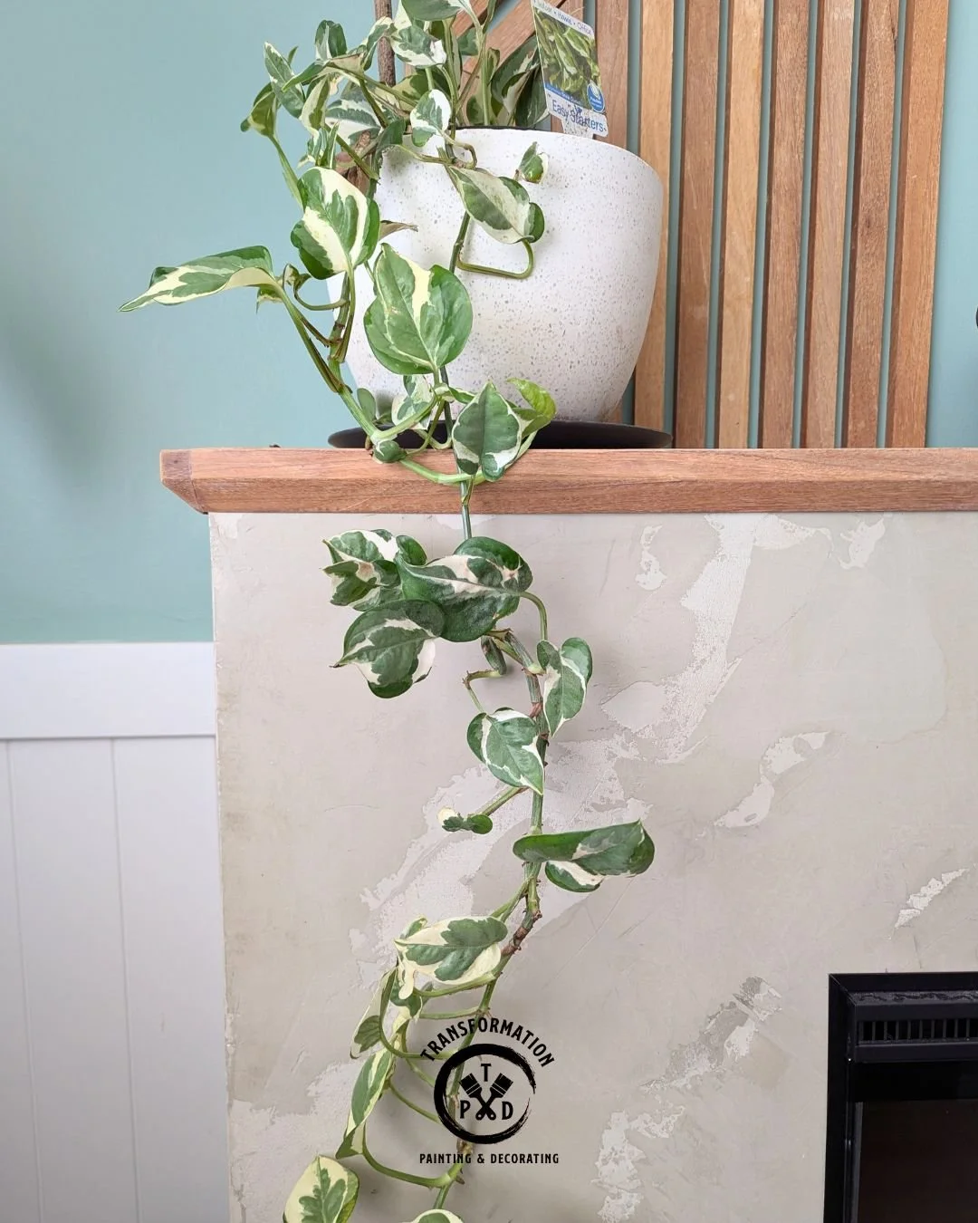 Microcement Cairns, Bathroom Renovation Cairns, Bespoke Painter Cairns, Expert Painter Cairns