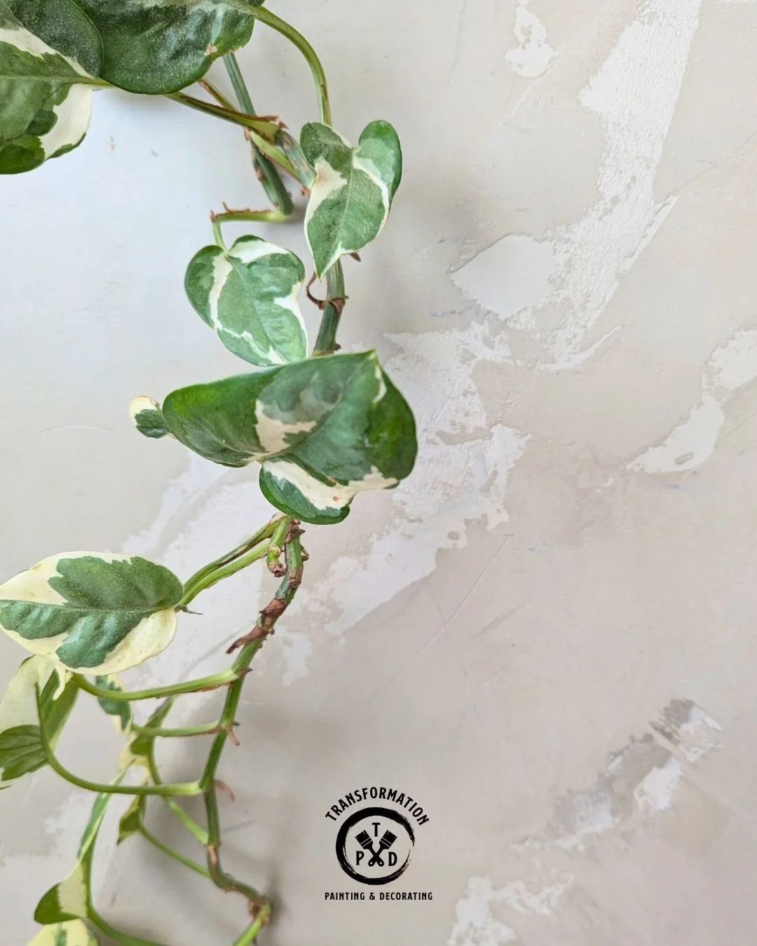 Microcement is all about texture, depth, and a seamless finish ✨

This bespoke surface creates a modern, refined look while being durable, low-maintenance, and completely customisable. Perfect for walls, floors, splashbacks and feature areas where yo