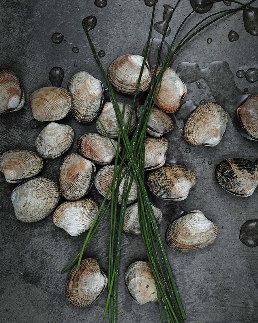 From our shellfish selection 🐚 Wild clams.