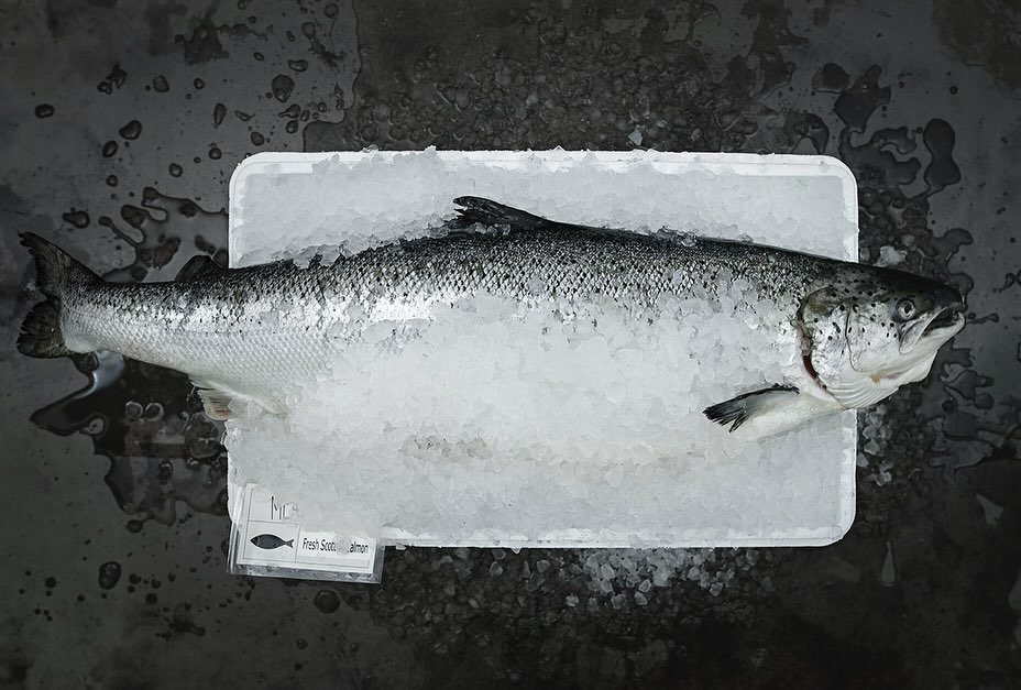 Meet our Organic Scottish and Irish 🏴󠁧󠁢󠁳󠁣󠁴󠁿 🇮🇪 Salmon 🐟

#wholesale #B2B #salmonsupplier #fnb #restaurant #hotels #salmon
