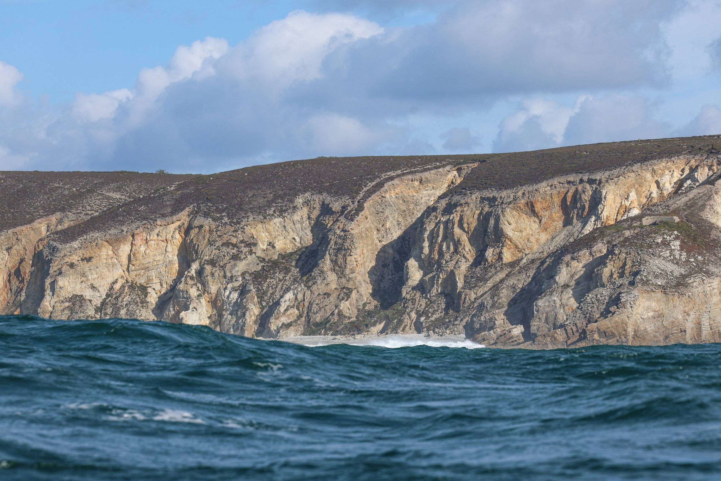 DFWT_CROZON_2026_RACE2_nowatermark-194.jpg