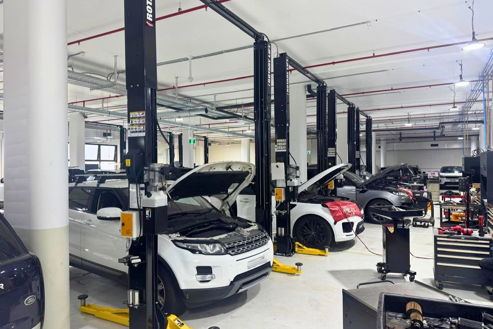 Rotary vehicle hoists in use during servicing operations inside an automotive dealership workshop in Artarmon NSW.