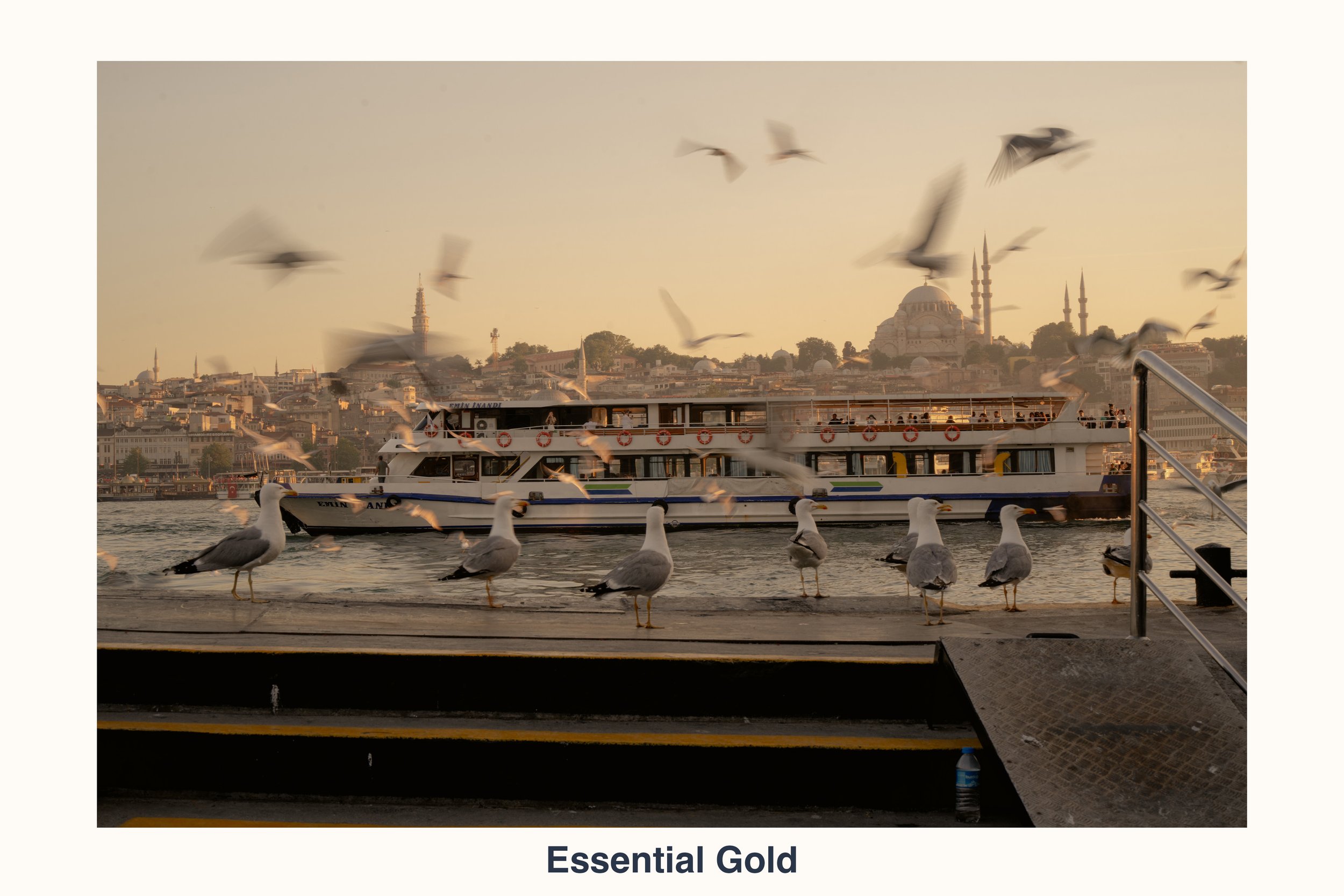 260902 essential gold slide 4.jpg