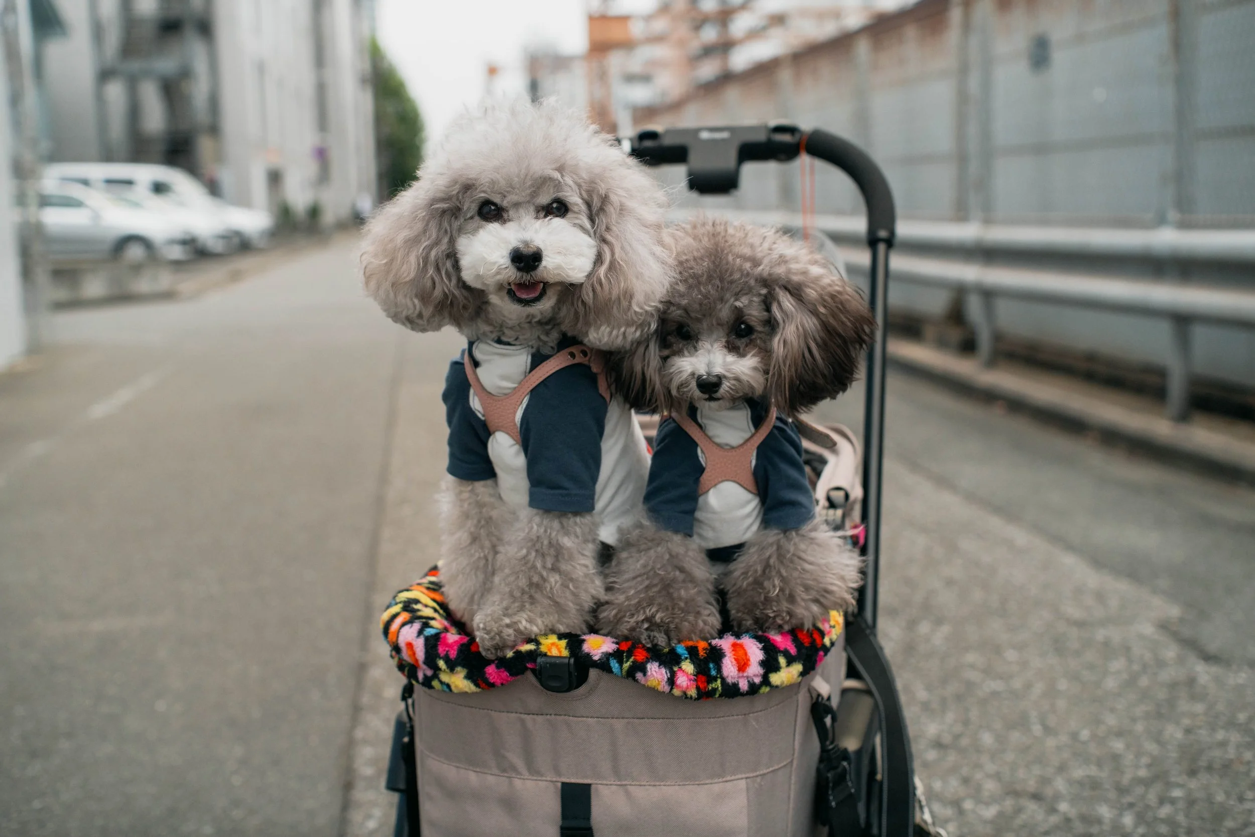 251015 TTartisan 40mm-46.jpeg