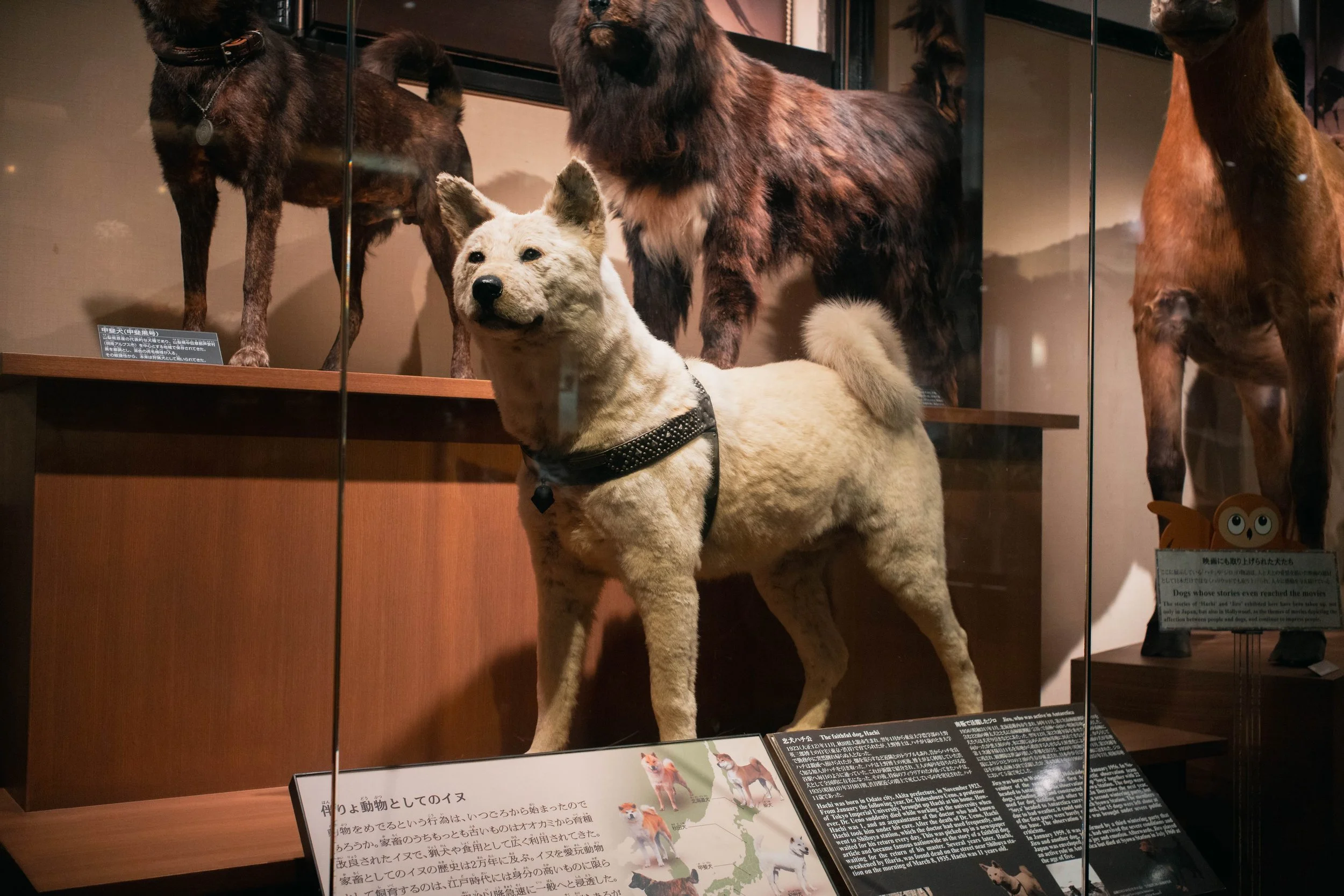 251015 TTartisan 40mm-11.jpeg