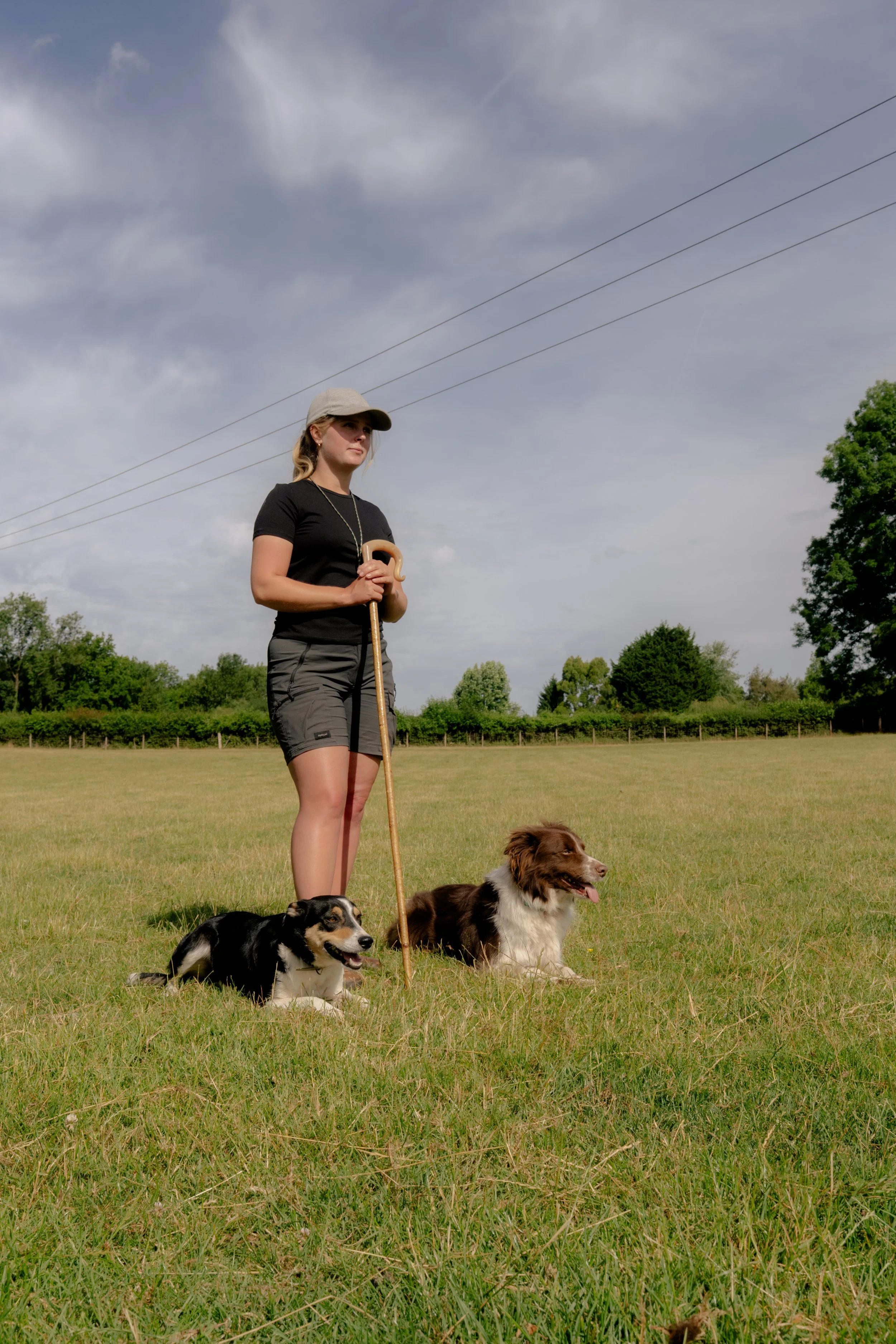 260710 Beth Sheep Dogs-5.jpg