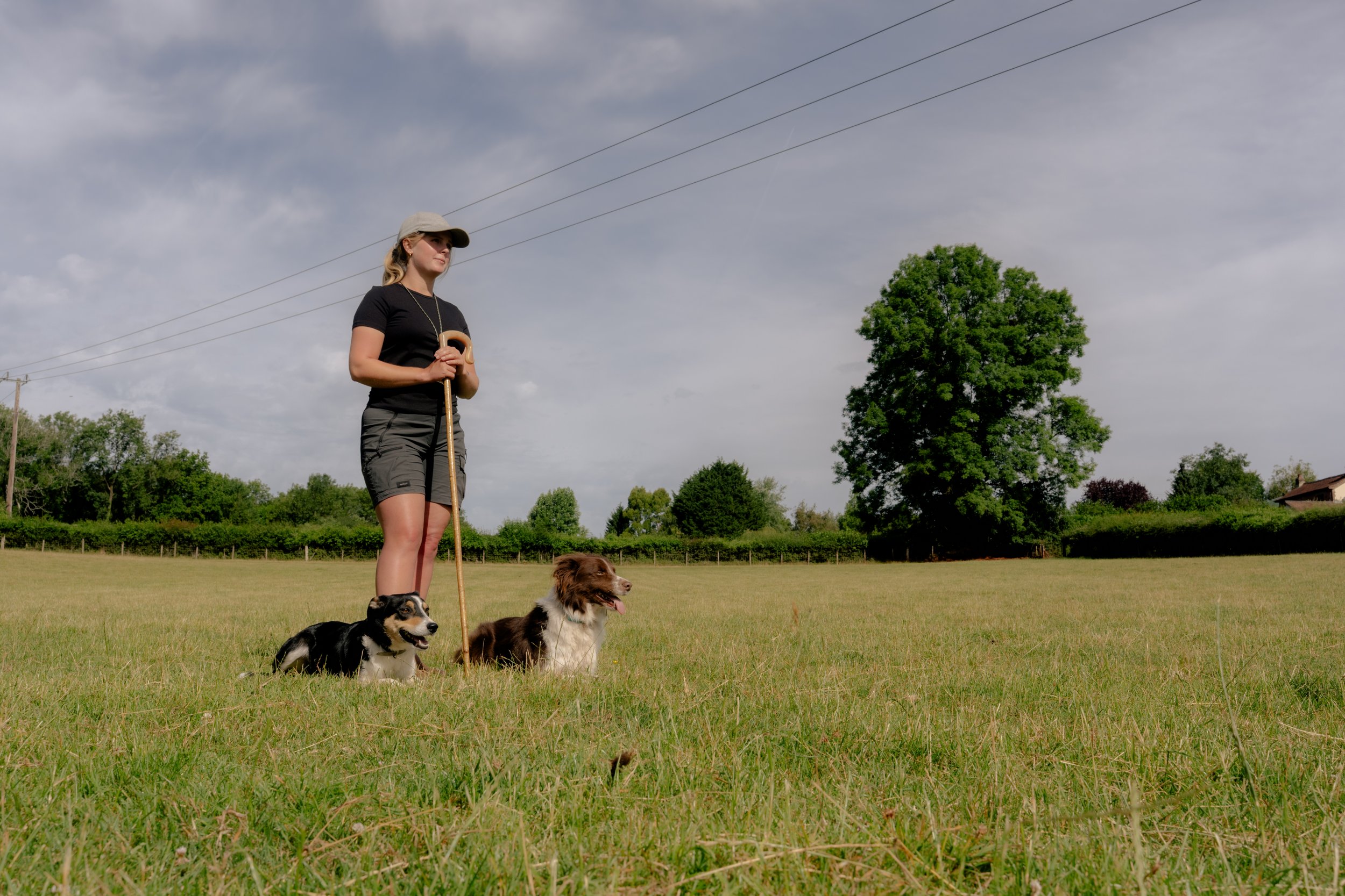 260710 Beth Sheep Dogs-6.jpg