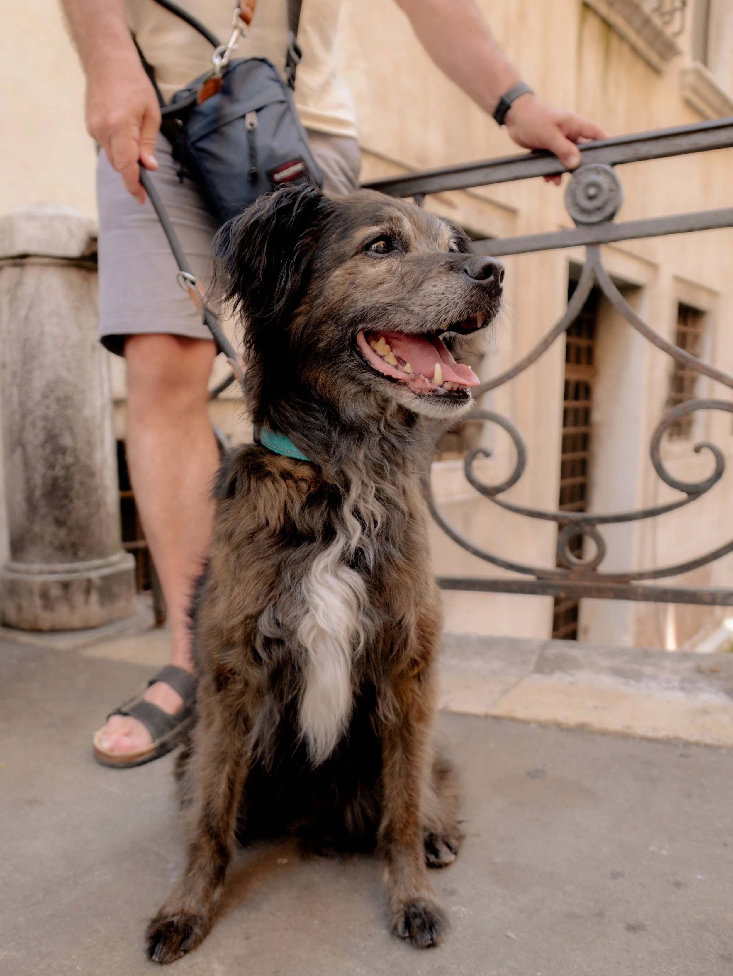 260730 L10 Venice-11.jpg