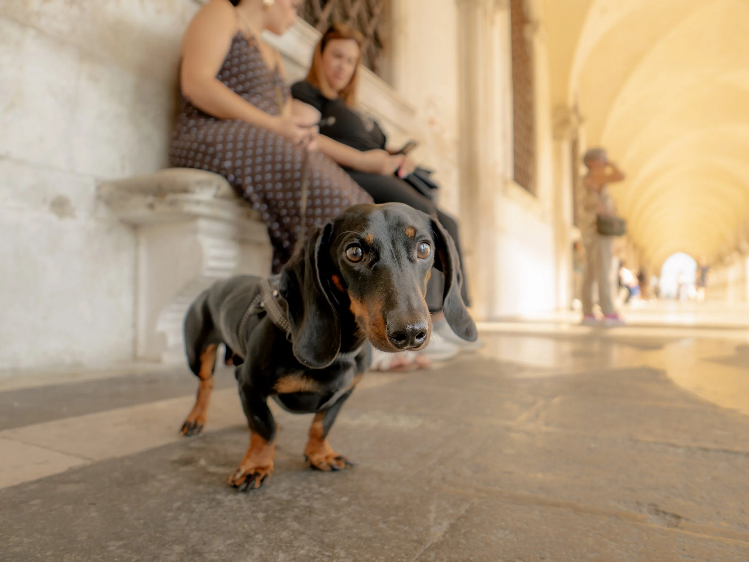 260730 L10 Venice-41.jpg
