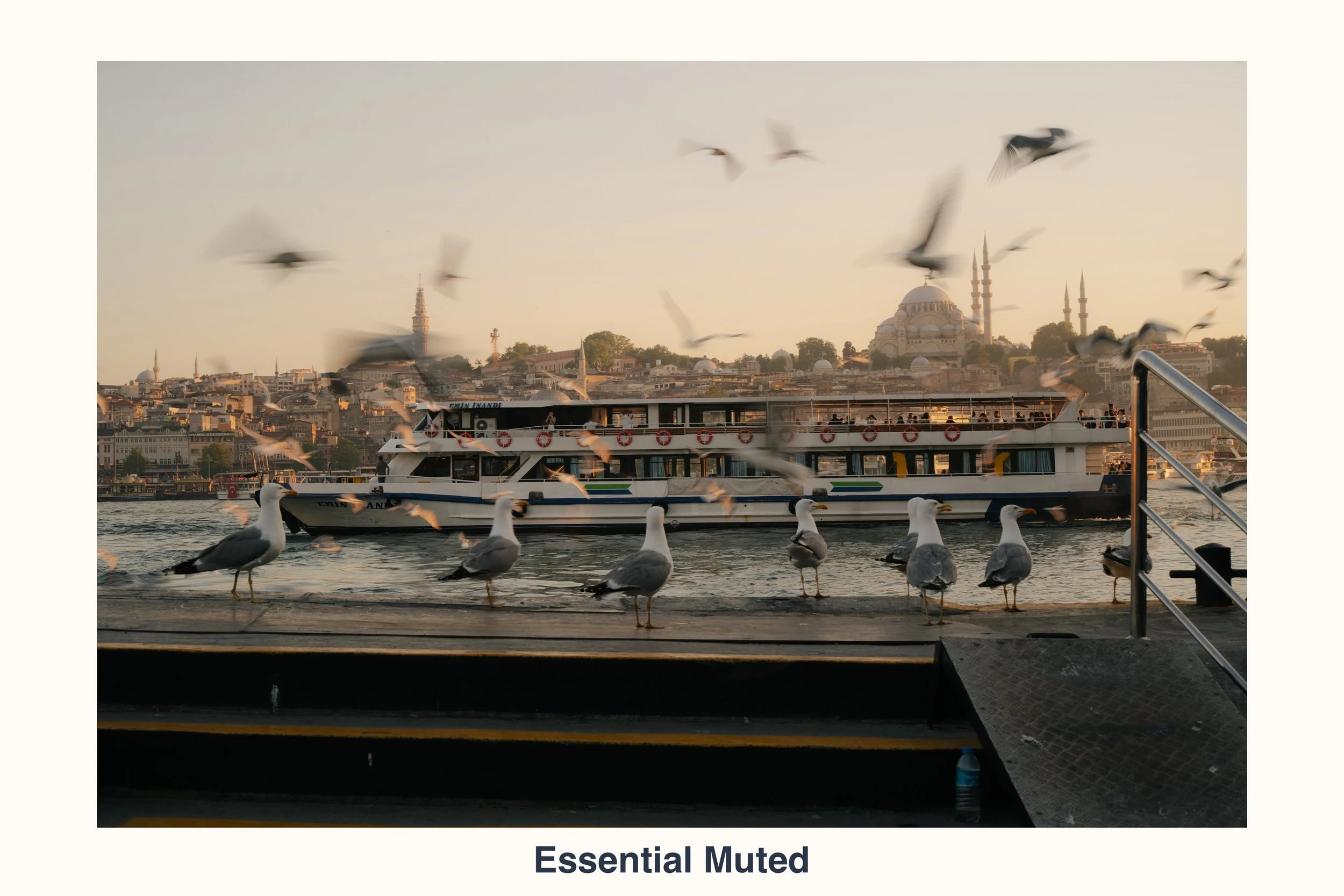 260902 essential muted slide 4.jpg
