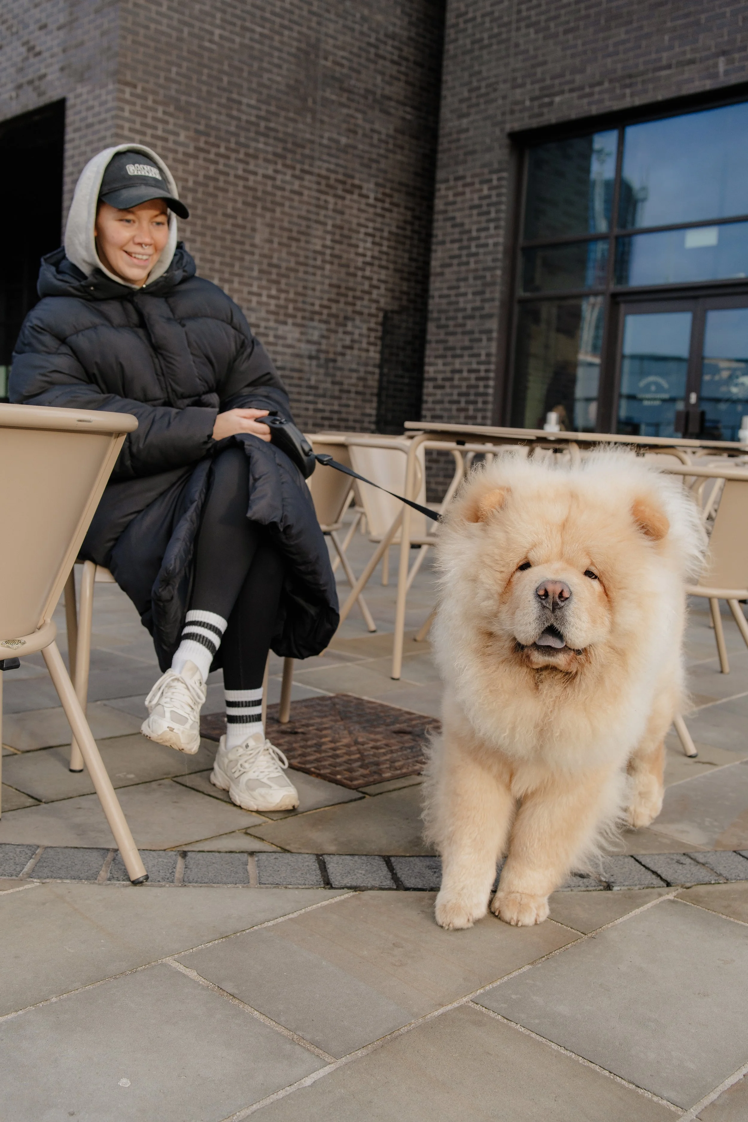 A person in a black winter coat, gray hoodie, and cap sitting outside on a patio with beige chairs and tables, holding a leash attached to a fluffy chow chow dog.