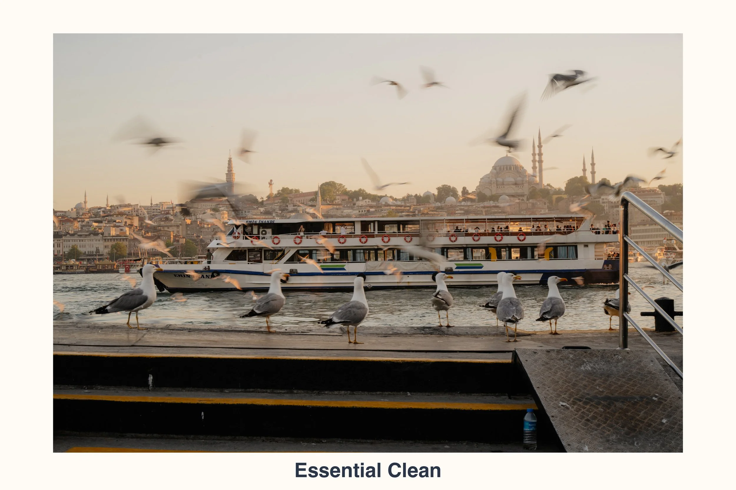 260902 essential clean slide 4.jpg