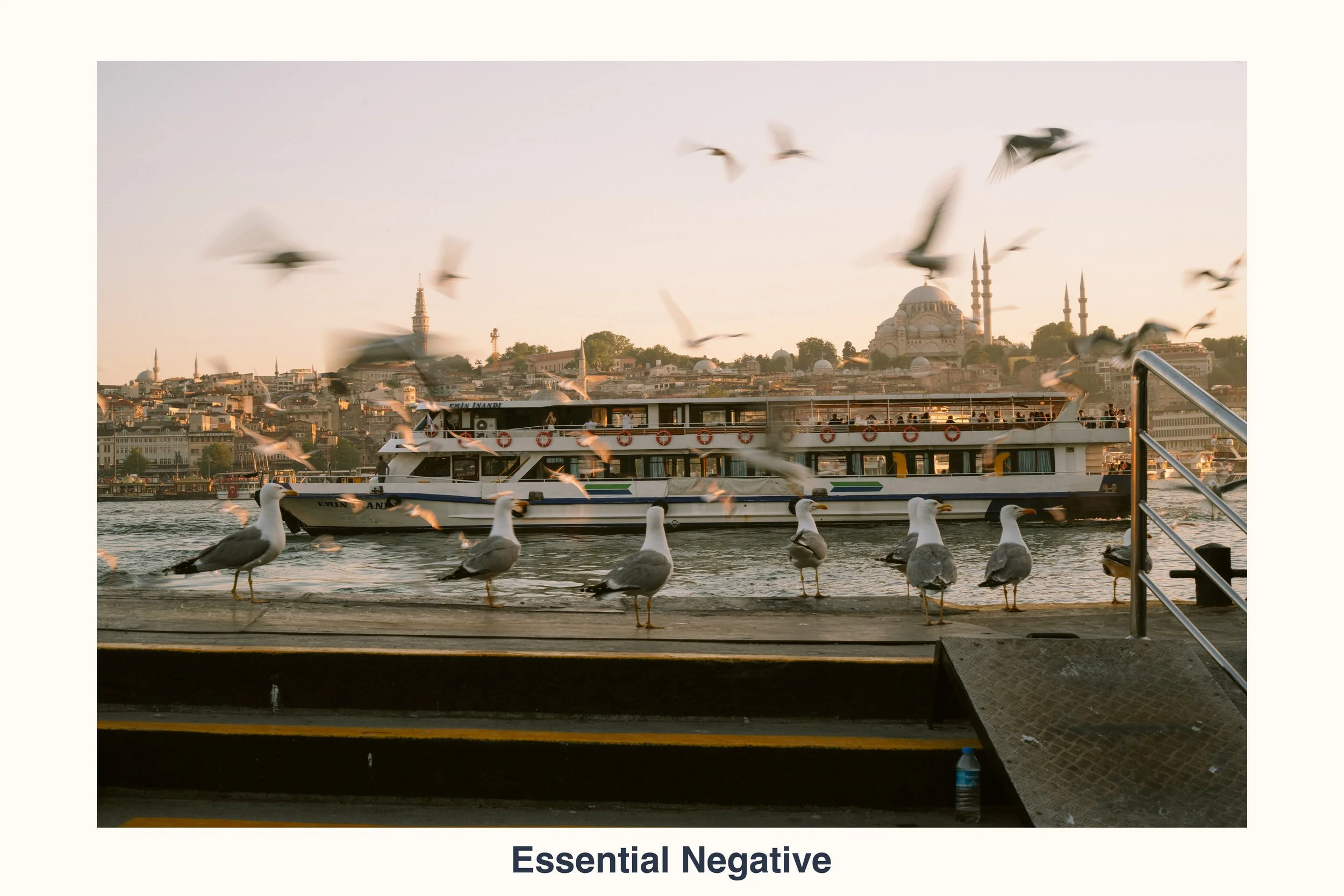 260902 essential negative slide 4.jpg