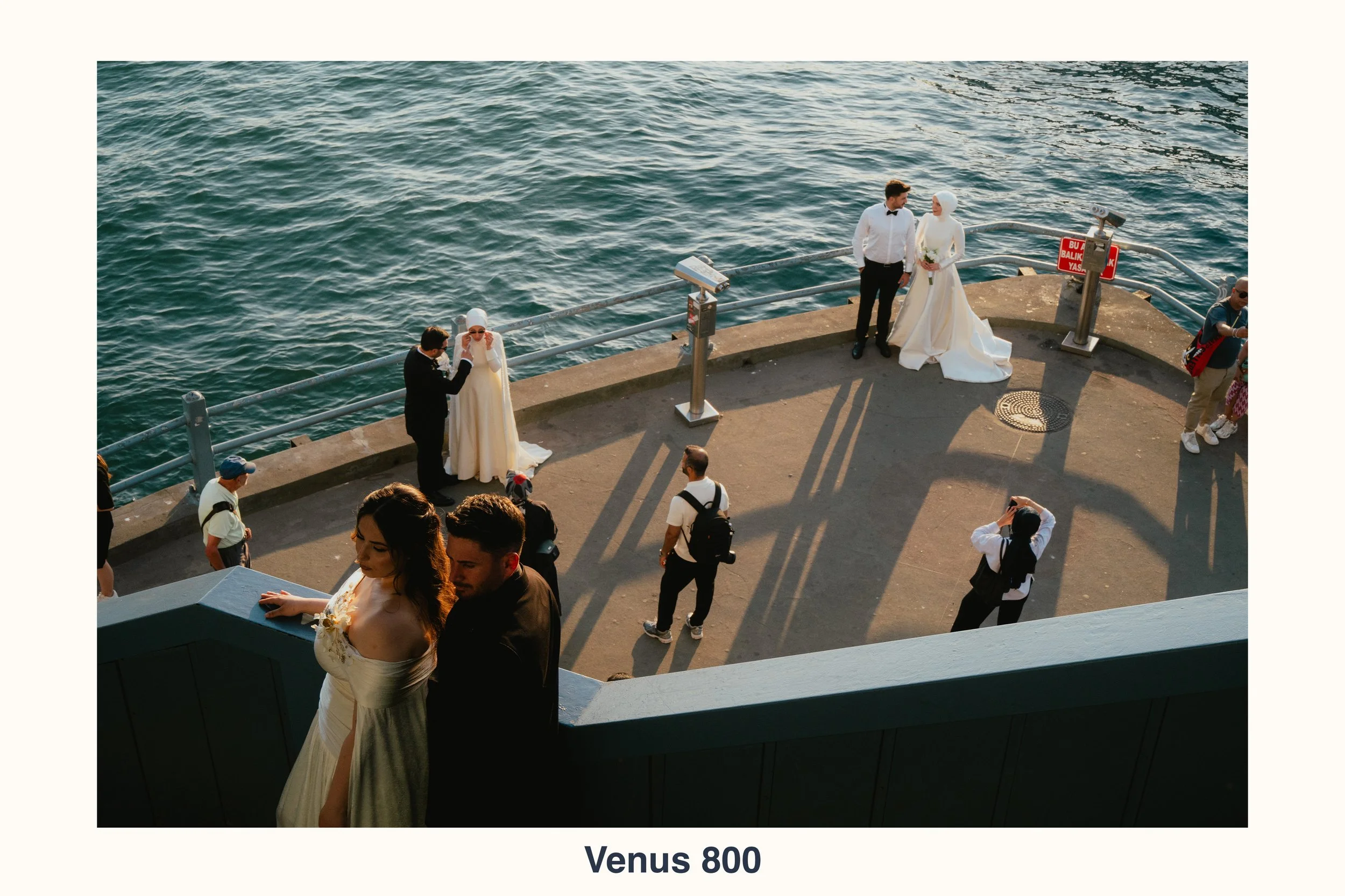 260902 Venus 800.jpg