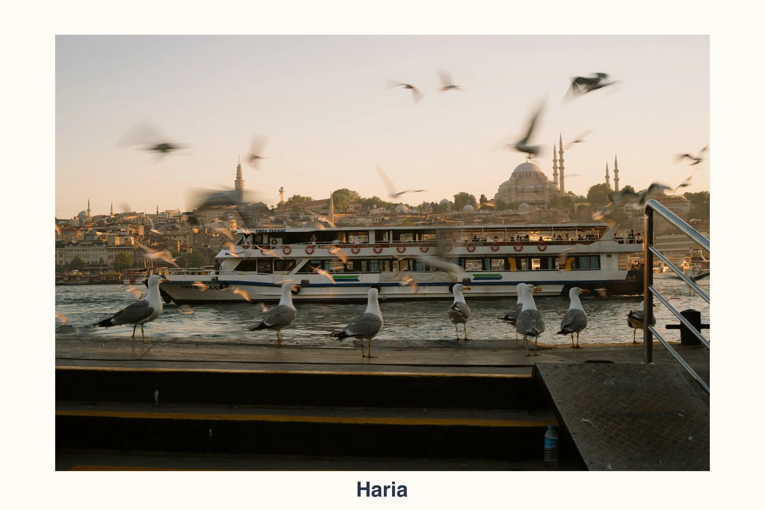 260902 Haria.jpg