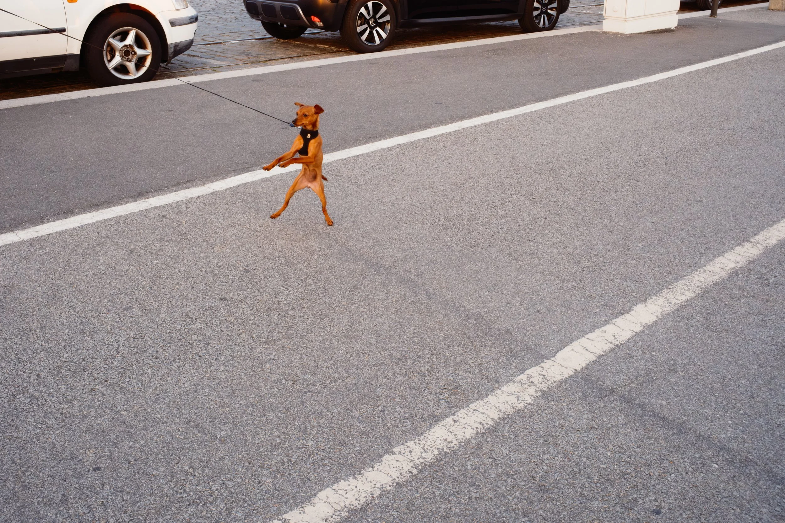 250805 XH2 Swap Video-56.jpg